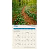 image Psalms 2025 Mini Wall Calendar Second Alternate Image width="1000" height="1000"