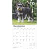 image Schnauzers 2025 Wall Calendar Third Alternate Image