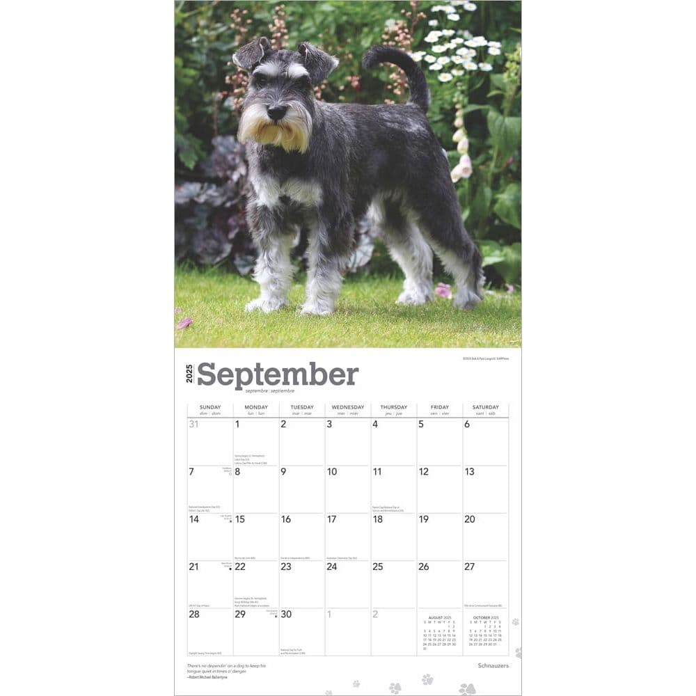 Schnauzers 2025 Wall Calendar Third Alternate Image