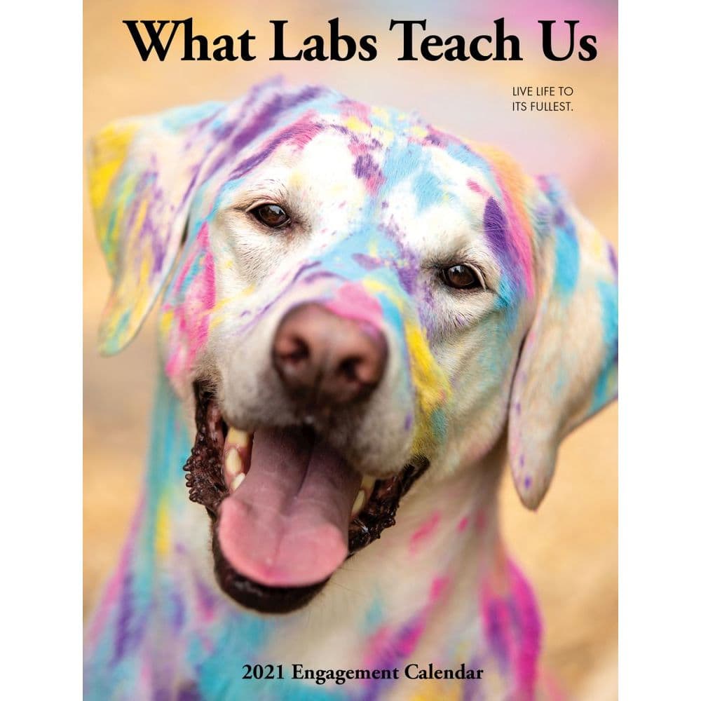 What Labs Teach Us Planner