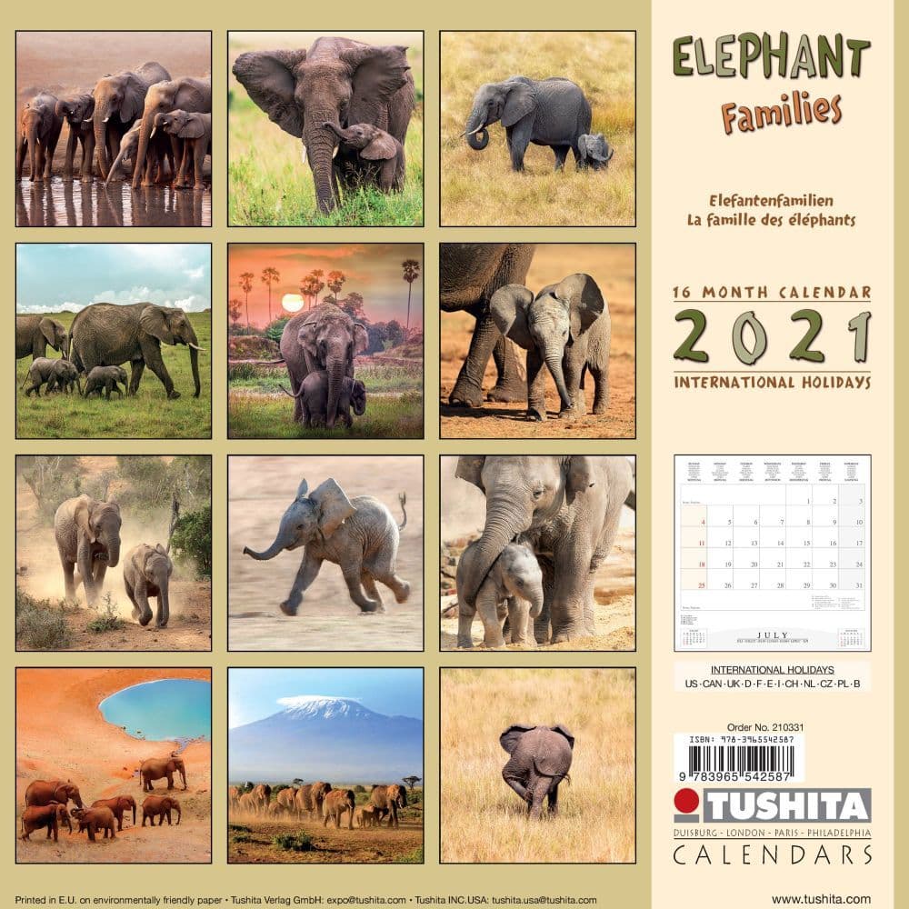 Elephants Wall Calendar