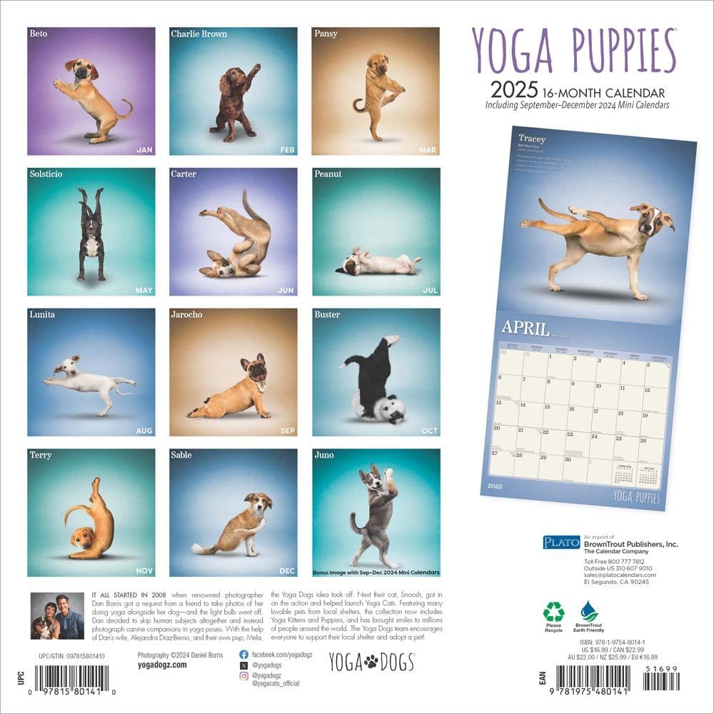 Yoga Puppies Plato 2025 Wall Calendar First Alternate Image