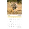 image Baby Animals Special Value 2026 Wall Calendar Third Alternate Image