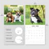 image Staffordshire Bull Terriers 2026 Wall Calendar Fourth Alternate Image
