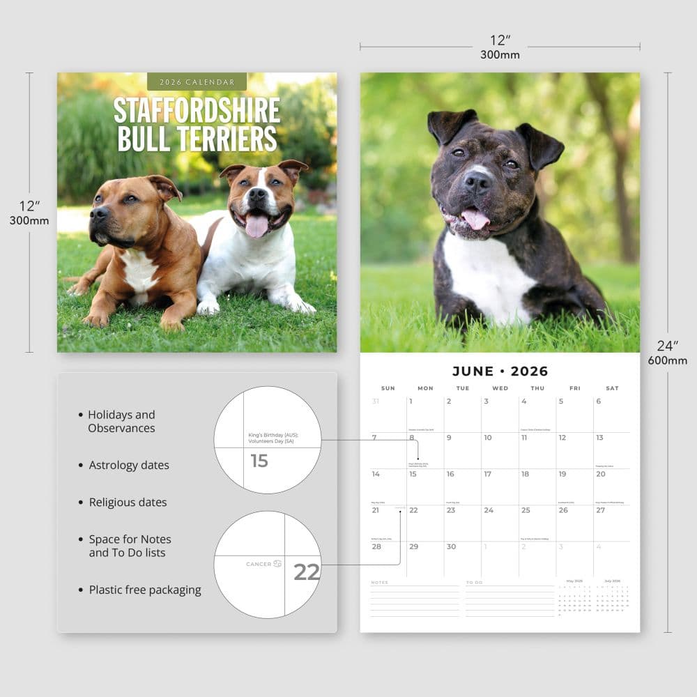 Staffordshire Bull Terriers 2026 Wall Calendar Fourth Alternate Image