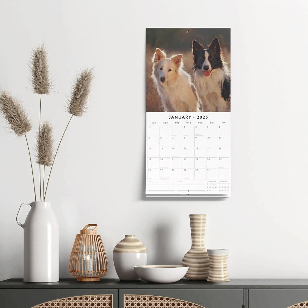 Border Collies 2025 Wall Calendar Alt4