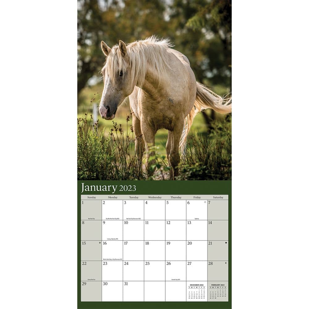 Horses photo 2023 mini wall calendar calendars