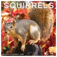 image Squirrels 2026 Wall Calendar  Main Image