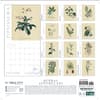image Herbal Apothecary 2027 Wall Calendar First Alternate Image