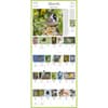 image Audubon 365 Songbirds 2025 Wall Calendar Alt1