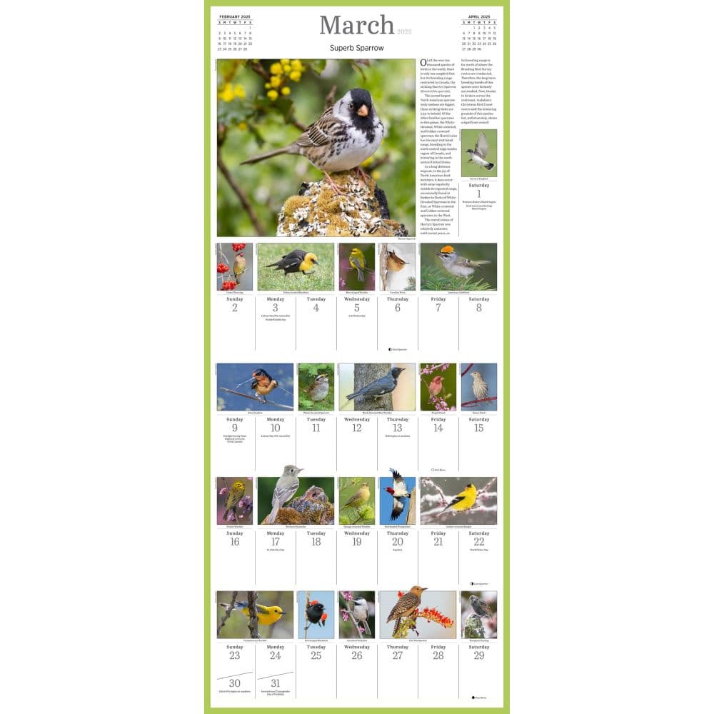 Audubon 365 Songbirds 2025 Wall Calendar Alt1