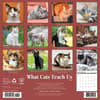image What Cats Teach Us 2026 Wall Calendar First Alternate Image