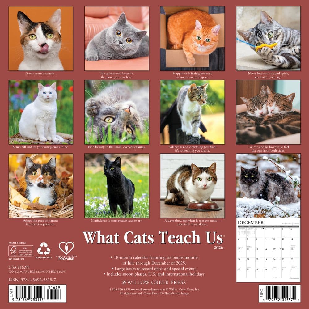 What Cats Teach Us 2026 Wall Calendar First Alternate Image