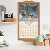 image Beyond the Woods 2026 Wall Calendar by Michael Sieve_ALT5