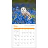image owls-wwf-2024-mini-wall-calendar-alt2