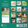 image Shih Tzu 2025 Wall Calendar First Alternate Image