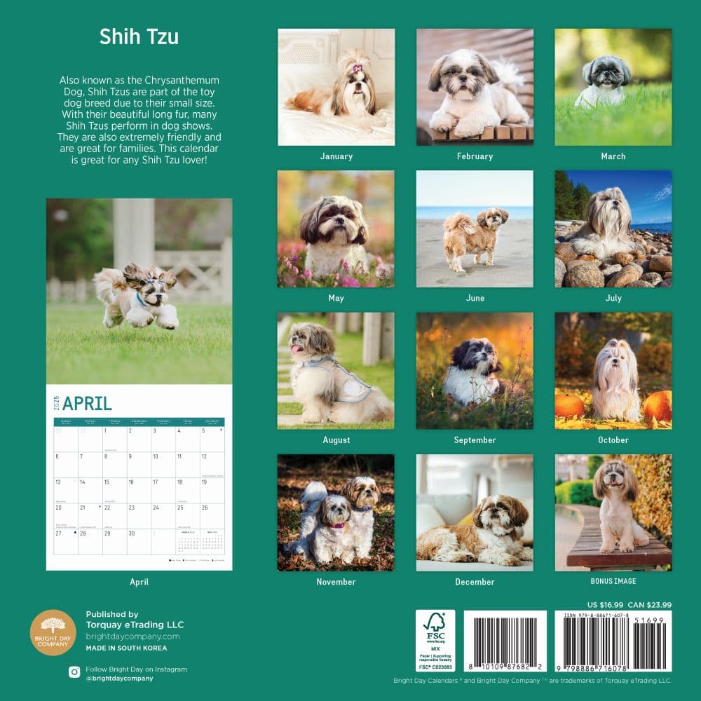 Shih Tzu 2025 Wall Calendar First Alternate Image