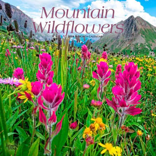 Mountain Wildflowers 2024 Wall Calendar - Calendars.com