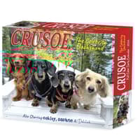 image Crusoe the Celebrity Dachshund 2026 Desk Calendar Main Product Image