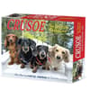 image Crusoe the Celebrity Dachshund 2026 Desk Calendar Main Product Image