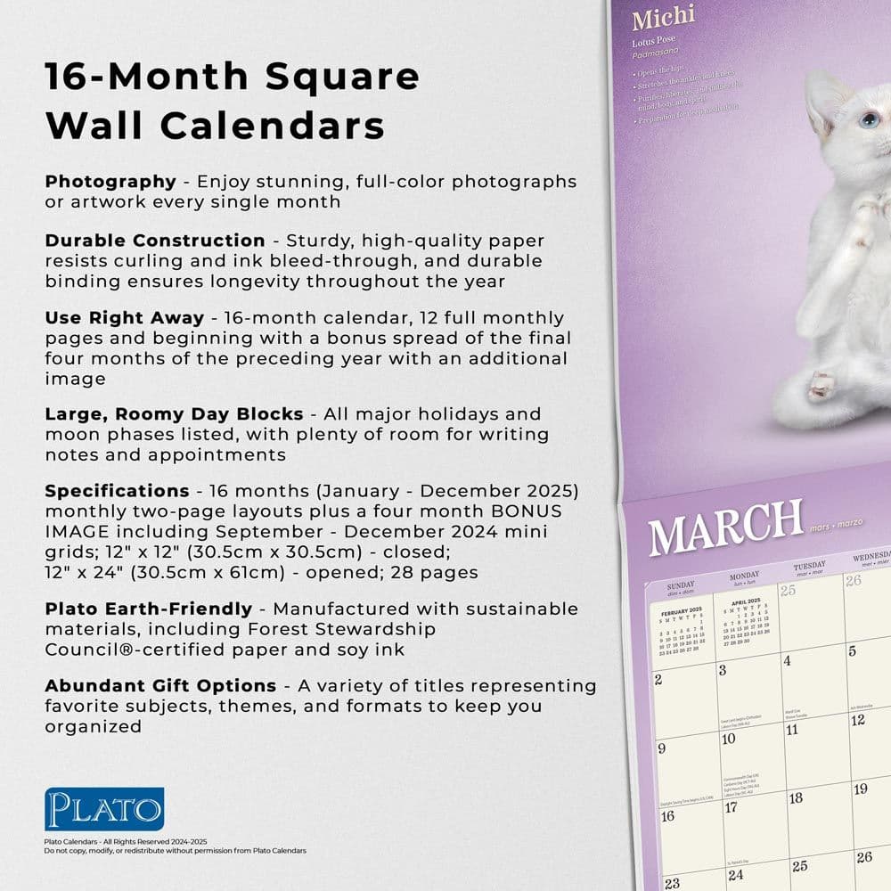 Yoga Kittens Plato 2025 Wall Calendar Fifth Alternate Image