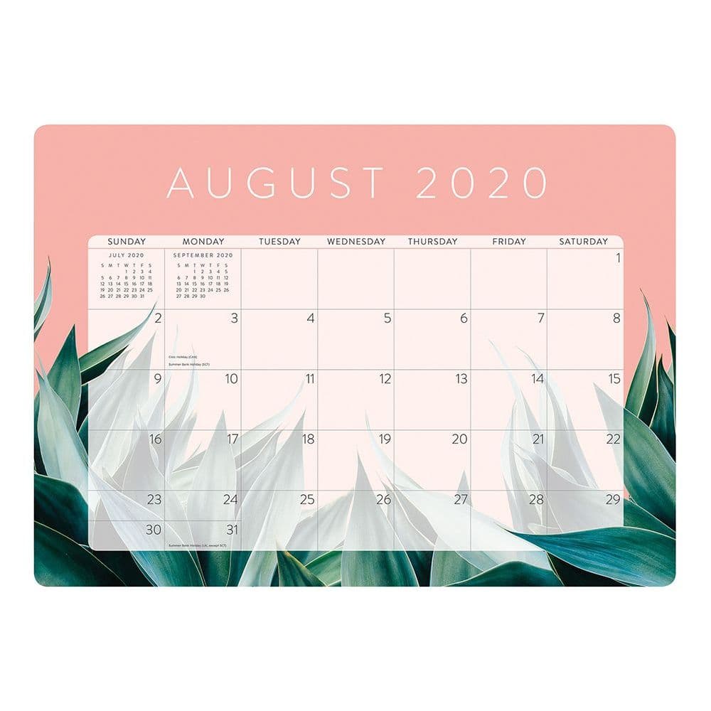 10 Best Desk Pad Calendars 2022 - CalendarBuy.com