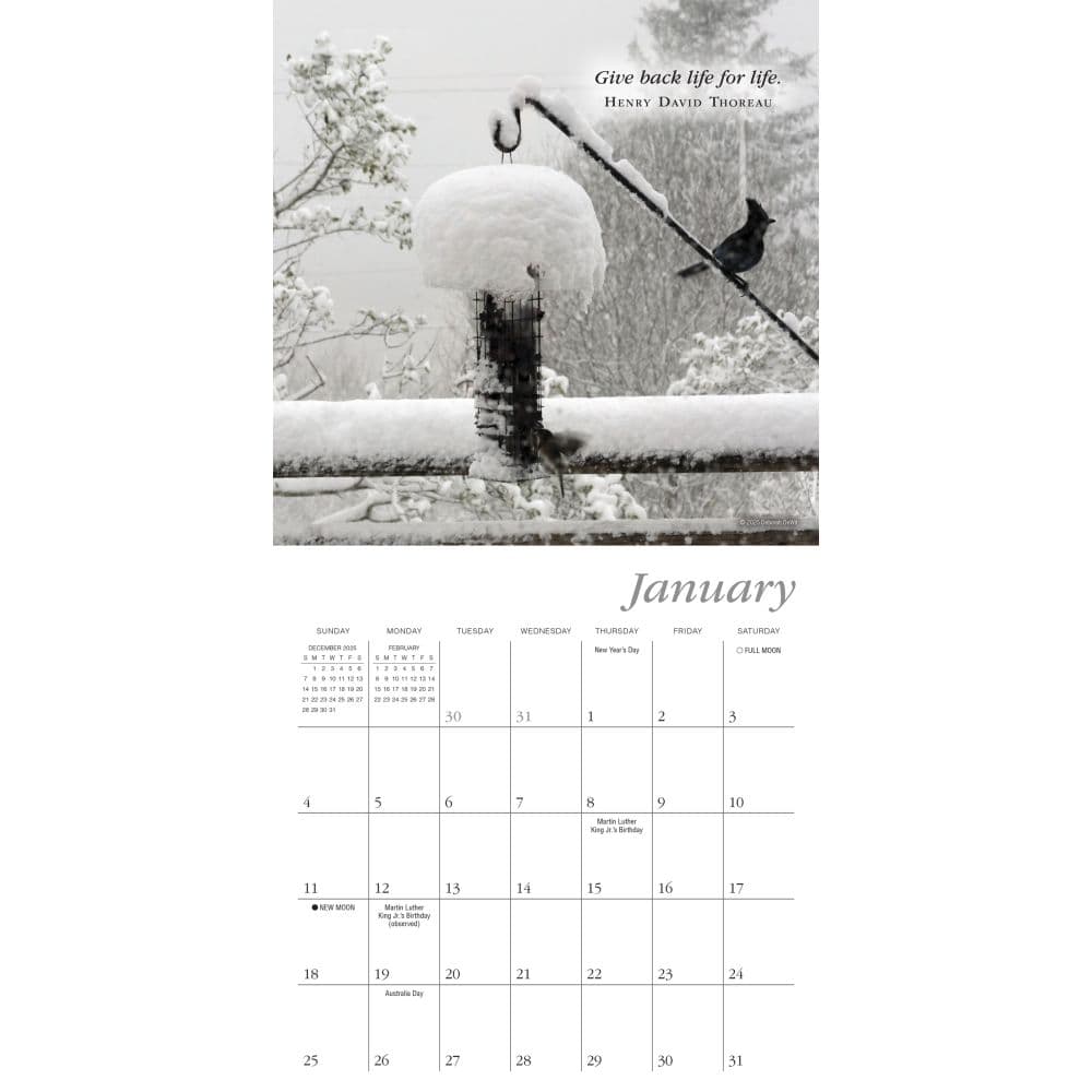 Simplicity 2026 Mini Wall Calendar Second Alternate Image