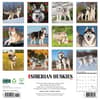 image Just Siberian Huskies 2025 Wall Calendar First Alternate Image width=&quot;1000&quot; height=&quot;1000&quot;