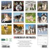 image Just Siberian Huskies 2025 Wall Calendar First Alternate Image width=&quot;1000&quot; height=&quot;1000&quot;