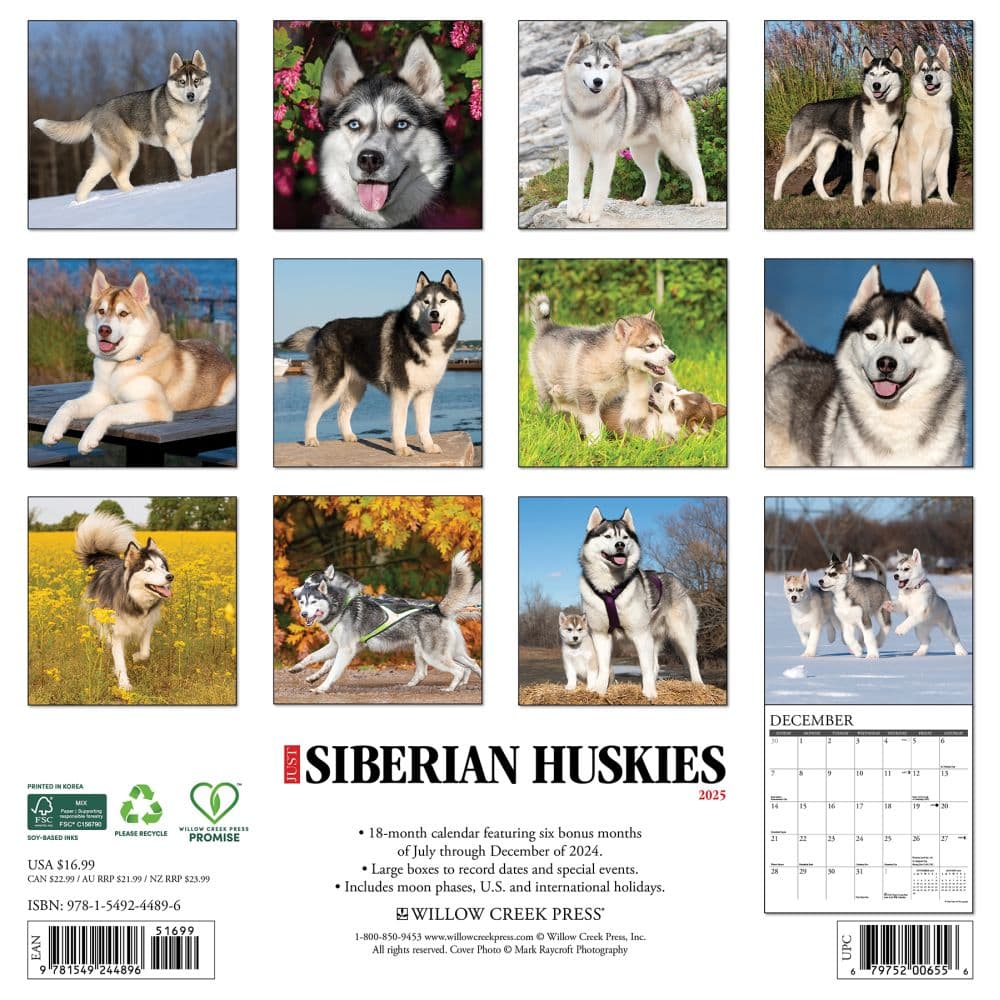 Just Siberian Huskies 2025 Wall Calendar First Alternate Image width=&quot;1000&quot; height=&quot;1000&quot;