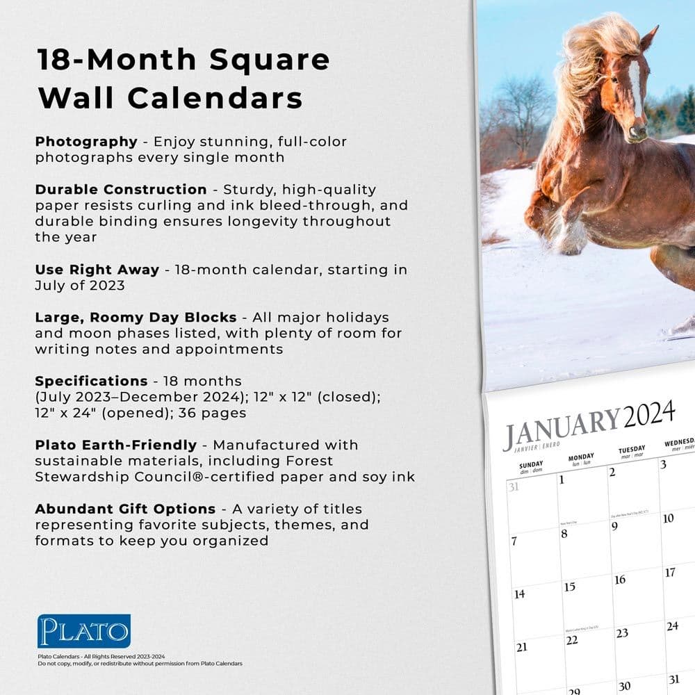 Magnificent Horses 18 Month 2024 Wall Calendar Alternate Image 4