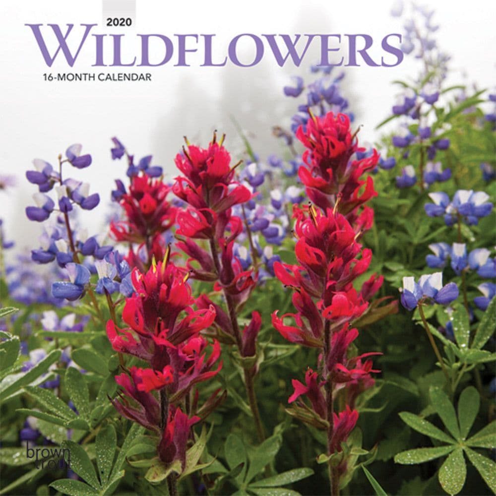 Wildflowers Mini Wall Calendar - Calendars.com