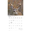 image Monster Bucks 2026 Wall Calendar Second Alternate Image