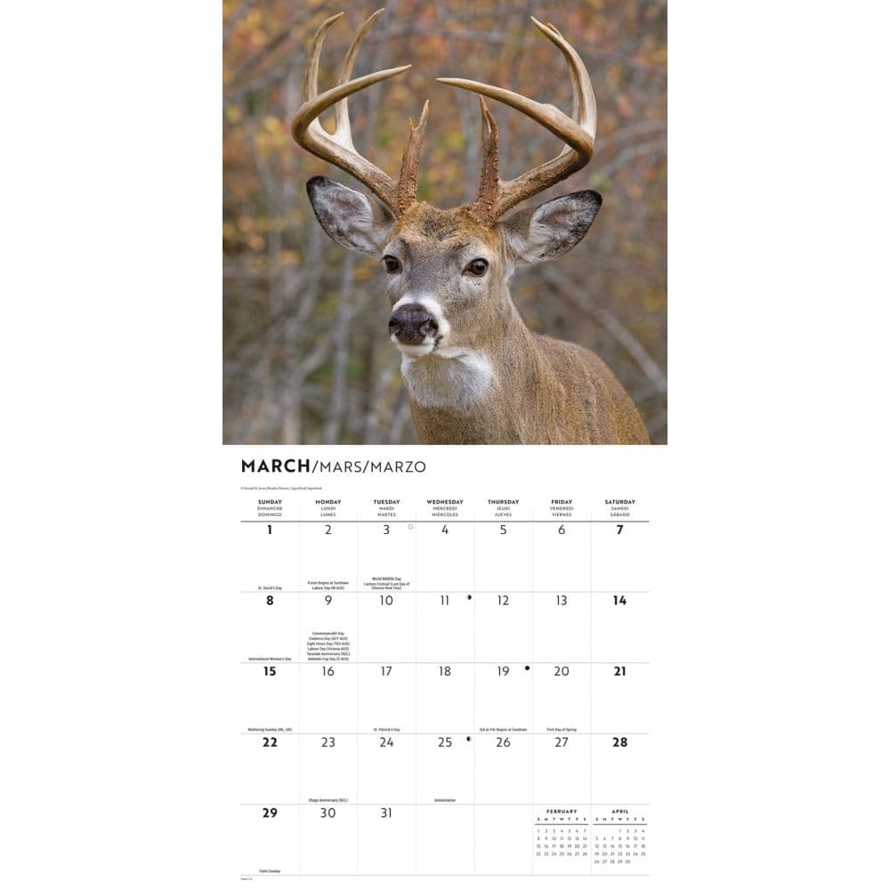 Monster Bucks 2026 Wall Calendar Second Alternate Image