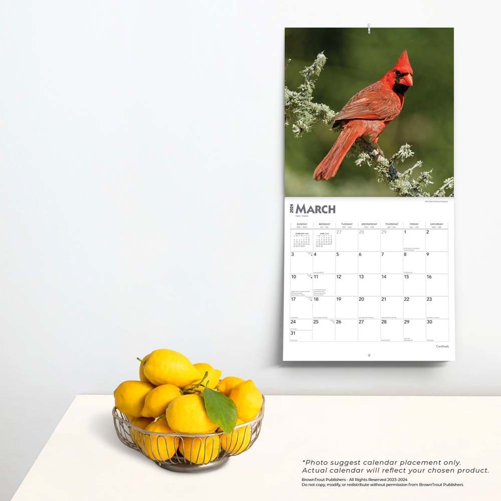 Cardinals 2024 Wall Calendar