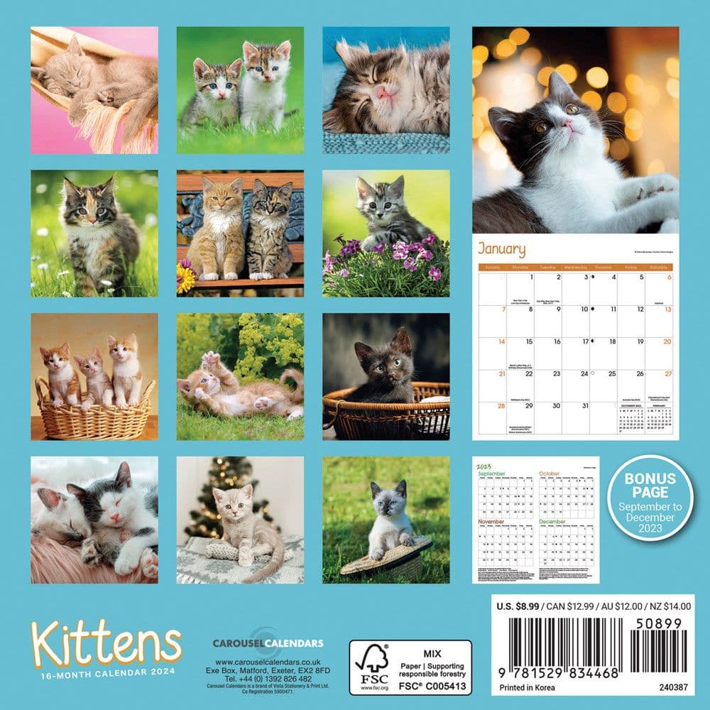 Kittens 2024 Mini Wall Calendar - Calendars.com