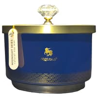 image Midnight Skies 16oz Footed Dish Candle Main Product Image width=&quot;1000&quot; height=&quot;1000&quot;