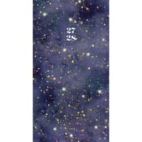 image Starry Night 2027 2-Year Pocket Planner Main Product Image