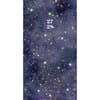 image Starry Night 2027 2-Year Pocket Planner Main Product Image