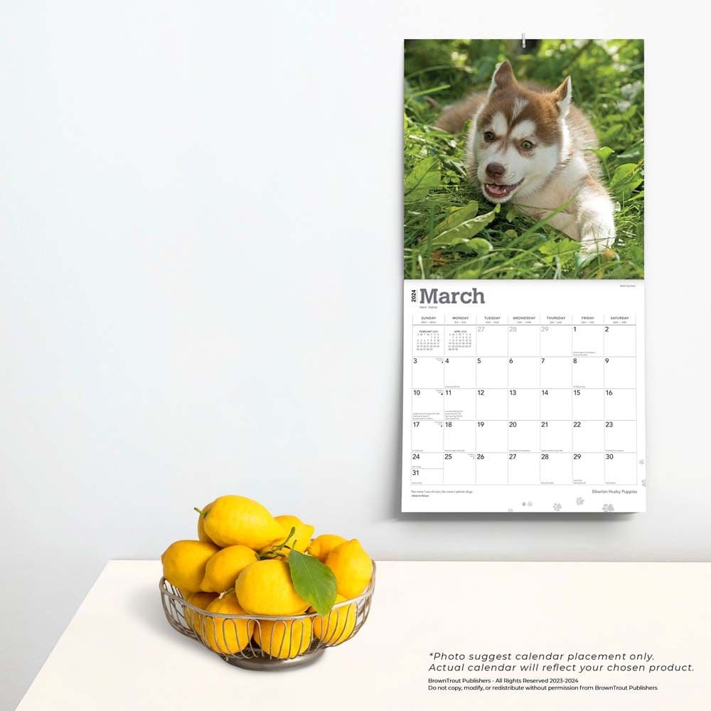 Siberian Husky Puppies 2024 Wall Calendar