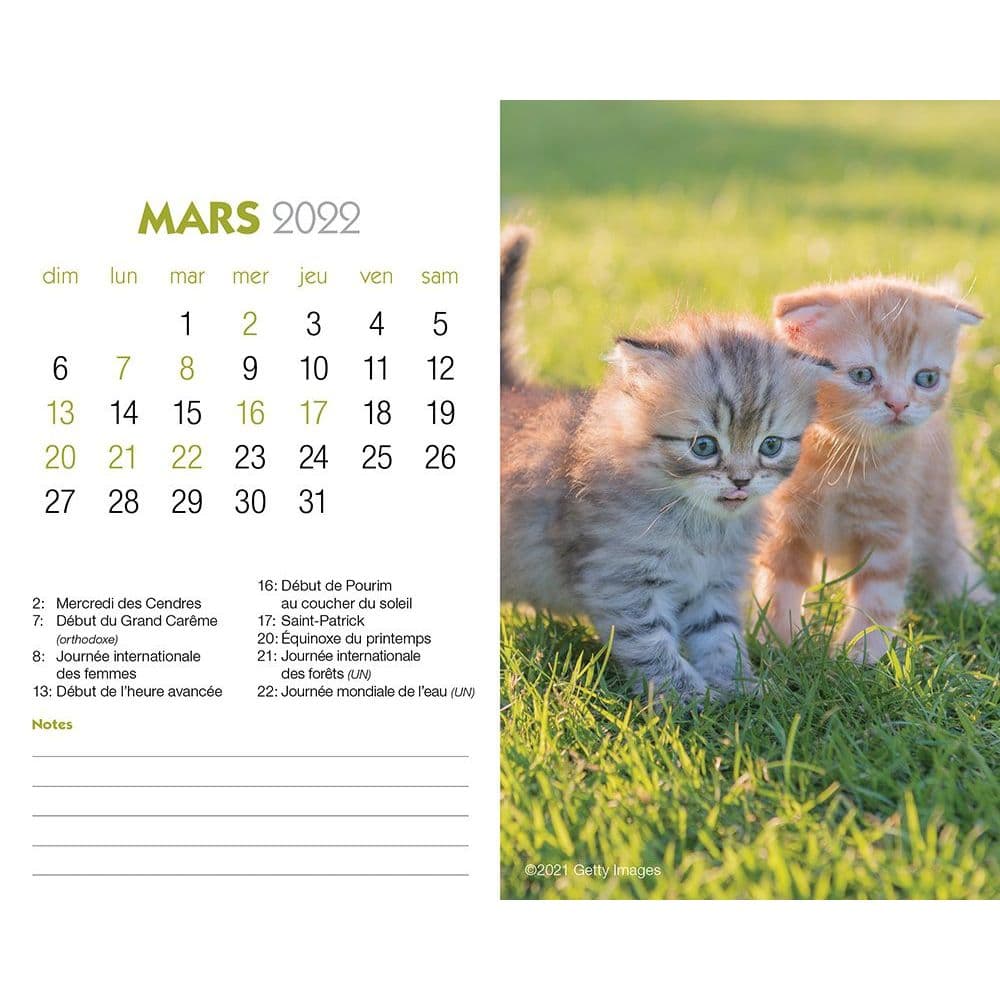 Calendrier Chatons 2023 Chatons Double 2022 Easel Calendar (French) - Calendars.com
