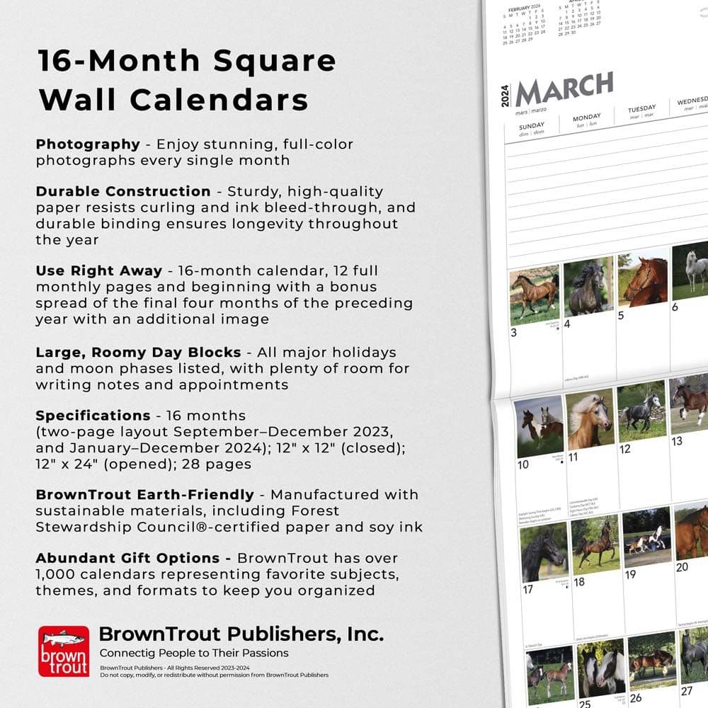 Horses 365 Days 2024 Wall Calendar Alternate Image 4