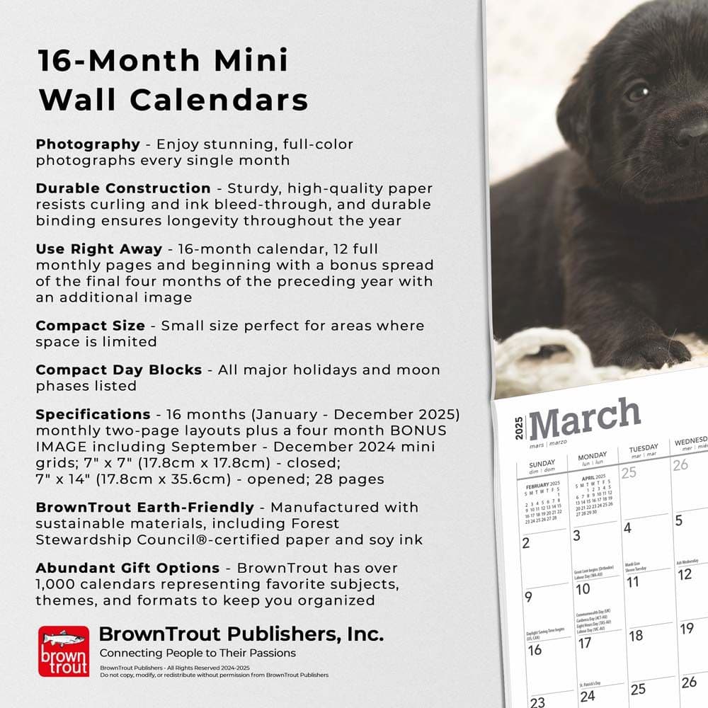 Black Lab Puppies 2025 Mini Wall Calendar Fifth Alternate Image width=&quot;1000&quot; height=&quot;1000&quot;