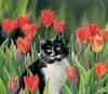 image Cats in the Country 2024 Desktop Wallpaper