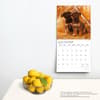 image Puppies Adorable 2024 Wall Calendar Alternate Image 3