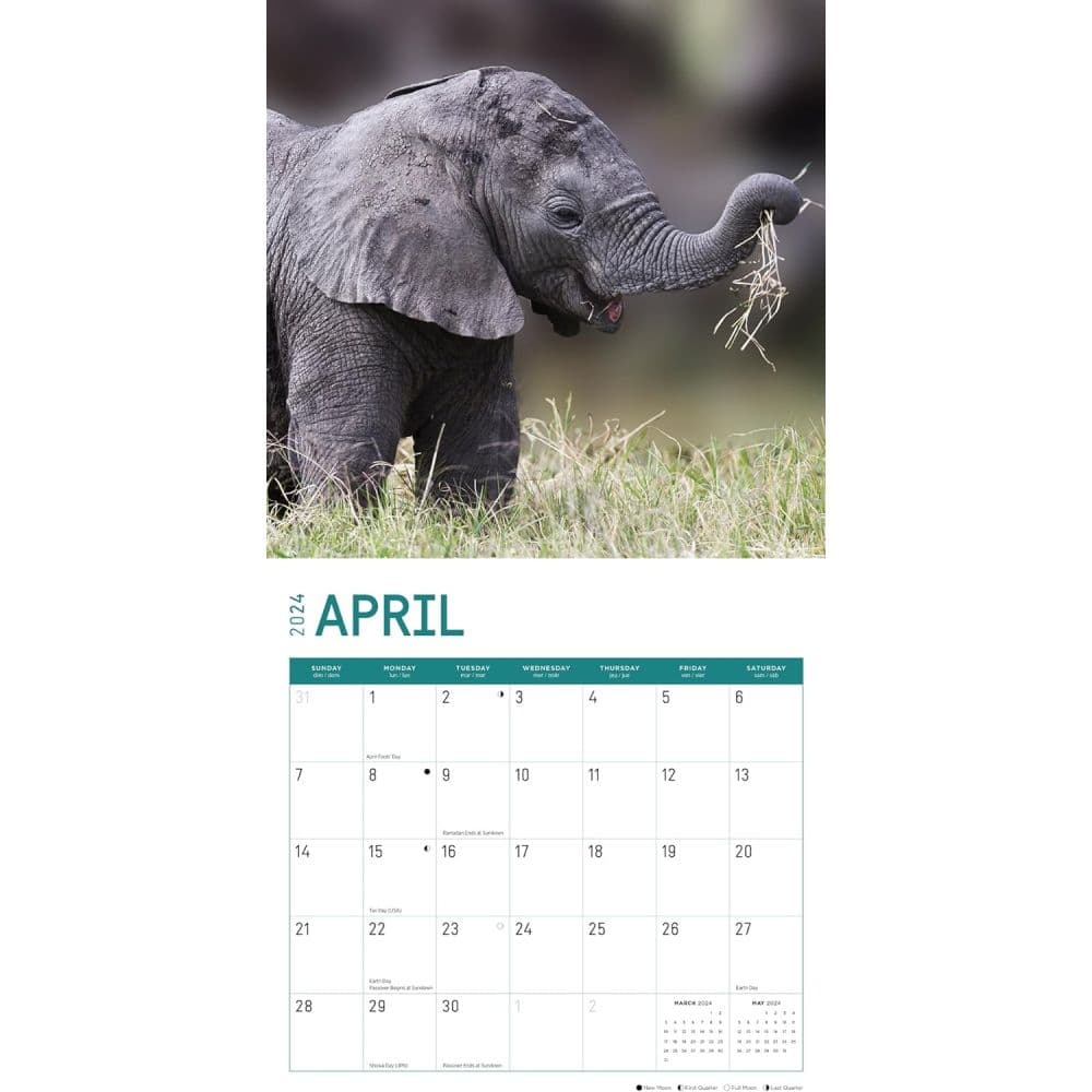 Baby Elephants 2024 Wall Calendar Second Alternate Image width=&quot;1000&quot; height=&quot;1000&quot;
