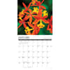 image Orchids 2026 Wall Calendar