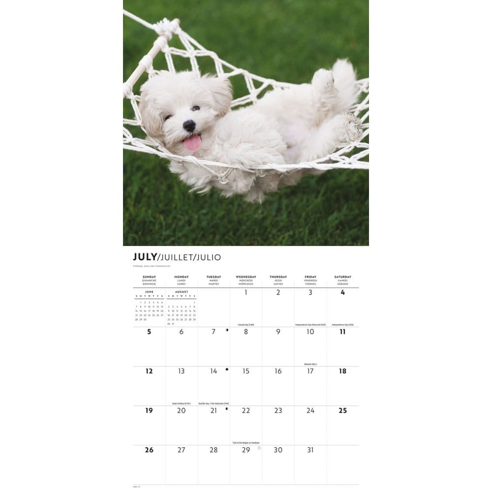 Puppy Love 2026 Wall Calendar Third Alternate Image