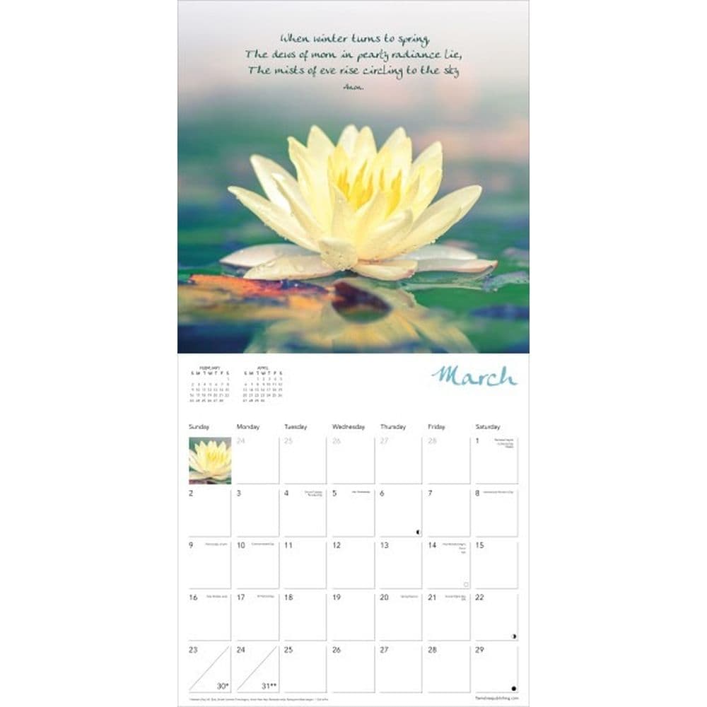 Zen Art and Poetry 2025 Wall Calendar Second Alternate Image