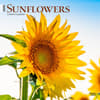 image Sunflowers 2025 Wall Calendar  Main Image